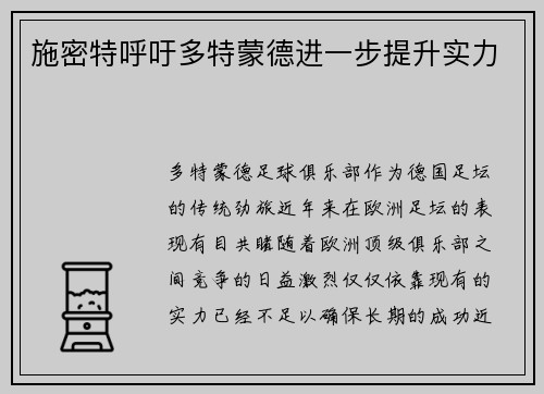 施密特呼吁多特蒙德进一步提升实力